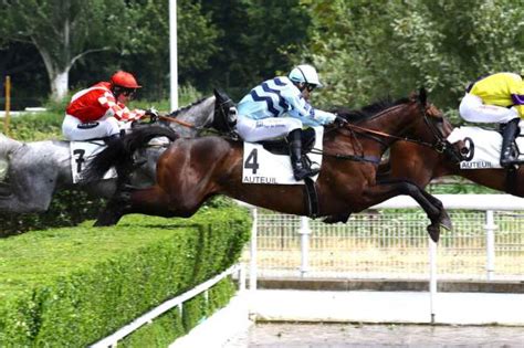 Jamaico La Fiche Canalturf Du Cheval Performances Pmu P Digr