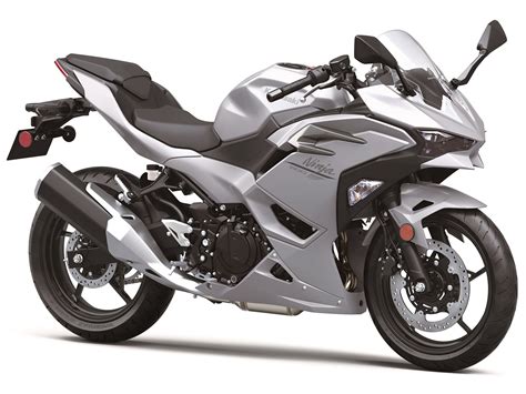 New Kawasaki Ninja Abs Metallic Matte Whitish Silver