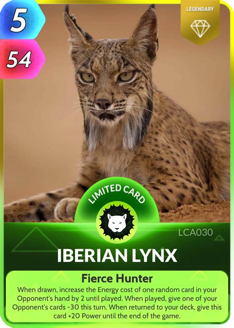 Iberian Lynx