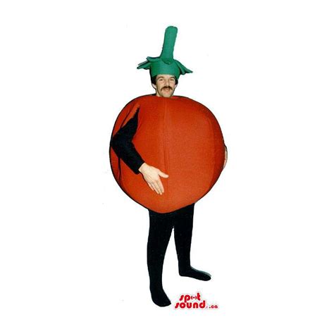 Large Red Tomato Vegetable Adult Size Costume Or Mascot - SpotSound ...