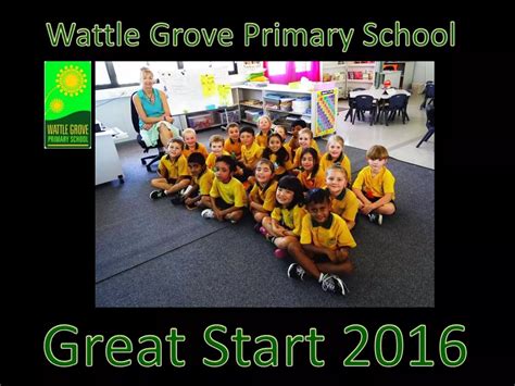 Wattle Grove Primary School - Good start 2016 | PPT