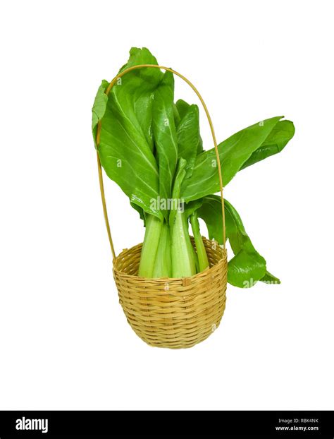 Bok Choy Isolated Fresh Green Bok Choy Vegetable Or Chinese Cabbage