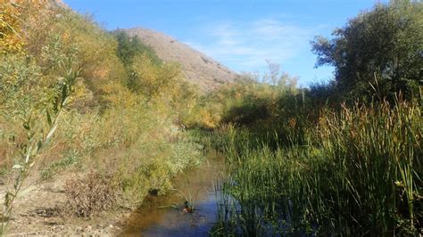 Southern California Steelhead eDNA Monitoring and Habitat Assessment ...