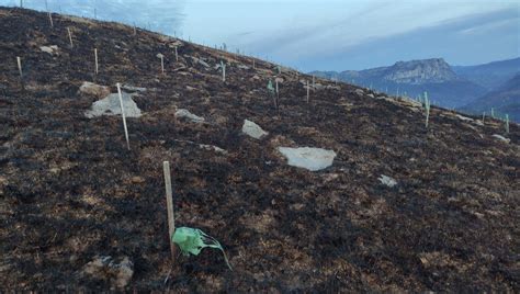 Los Incendios De La Semana Pasada En Ramales De La Victoria Arrasaron