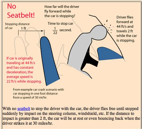 Seat Belts Science Safety