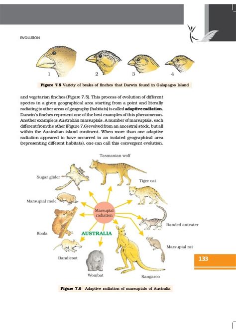 Ncert Books Class 12 Biology Chapter 7 Evolution