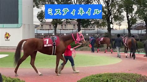 兵庫ゴールドトロフィー2022パドック 園田競馬場 競馬動画まとめ