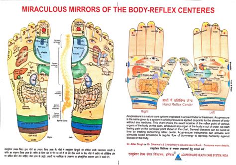 body reflex centres