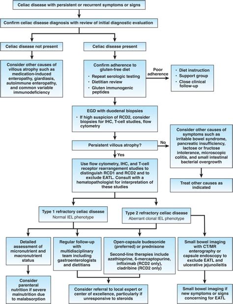 Aga Clinical Practice Update On Management Of Refractory Celiac Disease