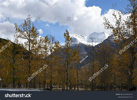 Sissu Valley Lahul State Himachal Pradesh Stock Photo 2227822179 | Shutterstock