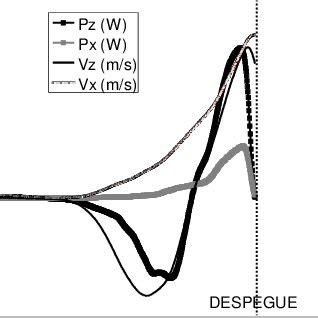 Longitudes De Salto Horizontal Alcanzadas Por Hombres Y Mujeres Que