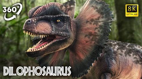 Dilophosaurus Facts Vr 360 Jurassic Encyclopedia 13 Vipera Games