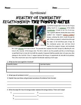 Symbiosis Worksheet 2 Ms Jones Middle School Science TPT