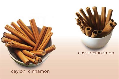 Cassia Vs Ceylon Basic Differences Of 2 Cinnamon Kinds Havigo Vn