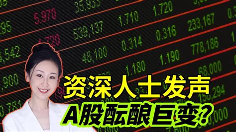 A股酝酿巨变？前证监会发审委委员重磅发声，这个说法耐人寻味 Youtube