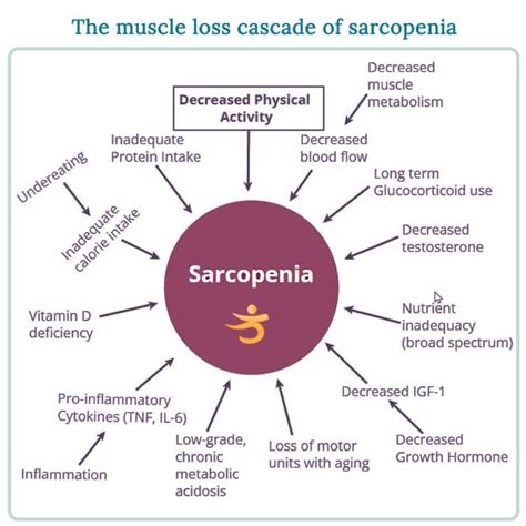 Muscle Loss With Aging Are You At Risk For Sarcopenia Better Bones