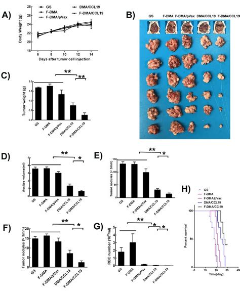 Anticolon Cancer Effect Of F Dma Ccl In Peritoneal Colon Cancer