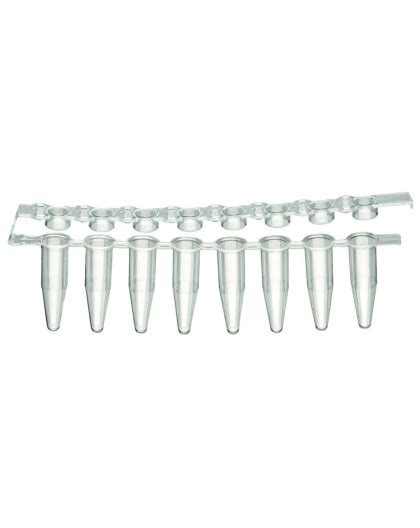 PurePlus 12 Well PCR Tube Strips