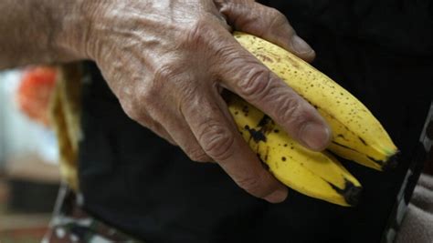 Los Bajos Precios Y Un Hongo Alertan A La Industria Bananera De Costa