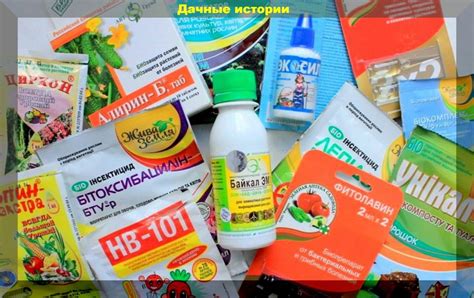 Метаризиум (72 фото)