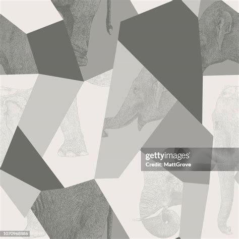 304 Elephant Print Background High Res Illustrations - Getty Images