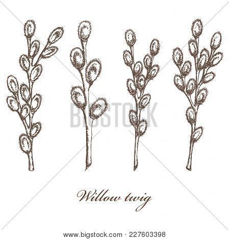 Vector Illustration Vector Photo Free Trial Bigstock