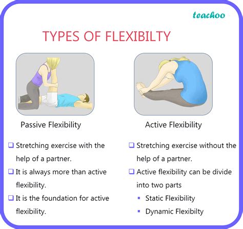 Sqp Define Flexibility And Explain Methods To Develop Flexibility