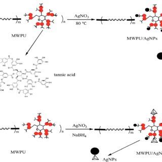 Scheme Schematic Diagram Of The In Situ Synthesis Process Of Ag Nps