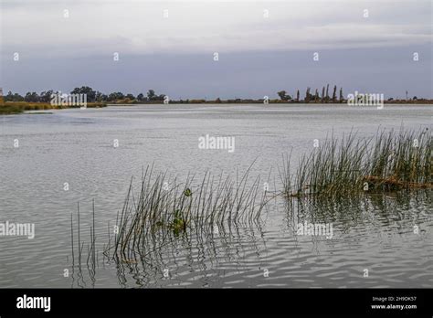 Sacramento River In The Sacramento San Joaquin River Delta Sacramento