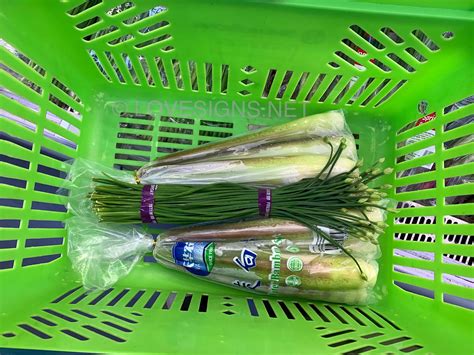 Young & moist water bamboo shoots - Chinese Culture (General