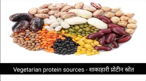 Vegetarian Protein Sources शाकाहारी प्रोटीन स्रोत Facttechno