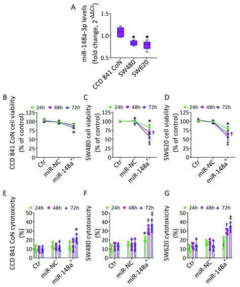 MiR 148a Mediated Cytotoxicity In CRC A Basal Hsa MiR 148a 3p