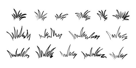 Drawing Of Grass Tuft Illustrations, Royalty-Free Vector Graphics & Clip Art - iStock