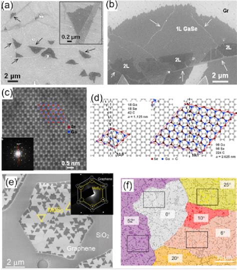 2D TMC Grown On CVD Graphene Or Transferred CVD Graphene A SEM Image