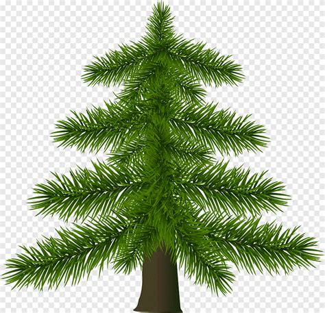 Christmas Tree Christmas Tree Pine Fir Tree Branch Christmas Decoration Png Pngegg