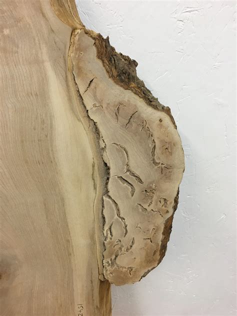 Sycamore Natural Waney Live Edge Slab Wood Board