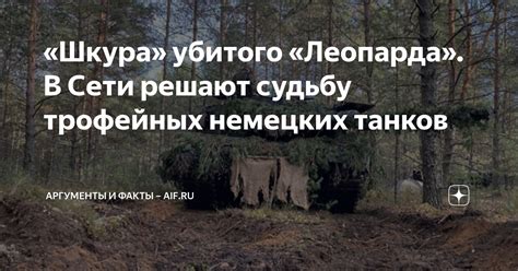 «Шкура» убитого «Леопарда». В Сети решают судьбу трофейных немецких ...