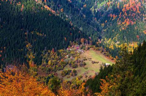 Karadeniz Yaylalar Ve Batum Turu Gece Otel Konaklamal