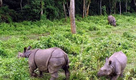 Bardia National Park | Adventure White Mountain