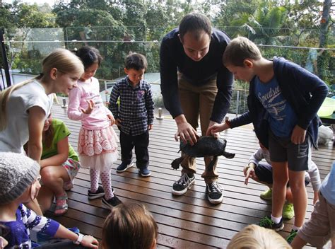 Educational Reptile Show and Reptile Party // Urban Reptiles