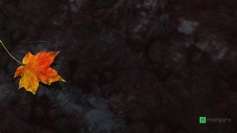 Autumn Minimalist Desktop Wallpaper