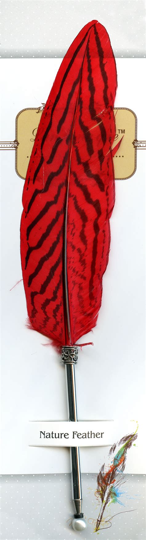 PLUME - WRITING FEATHER WITH PEN TIP (RED) / ACCESSORIES / MISCELLANEOUS