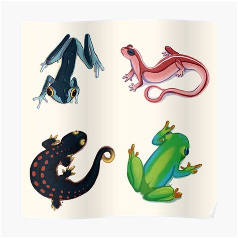 "Funky Amphibians" Poster for Sale by MishaGehrArt | Redbubble