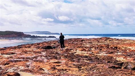 The Ultimate Guide For Things To Do On Phillip Island