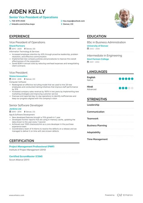 Vice President Resume Samples + Expert-Driven Tips (Layout, Skills ...