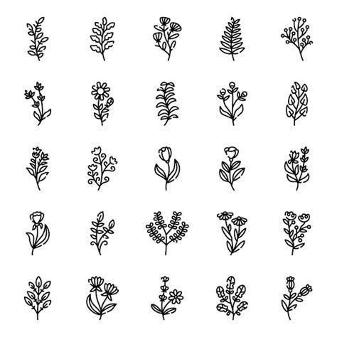 Premium Vector Set Of Flower And Leaves Line Art Vector