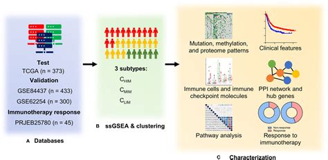 Frontiers A Signature Based Classification Of Gastric Cancer That