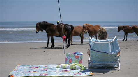 Outer Banks Beach House Vacation Rentals NC With Pool OUTERBANKBEACHHOMES