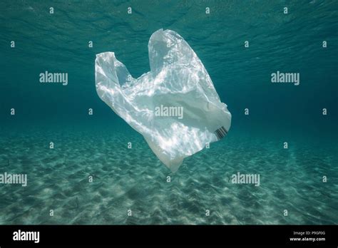 Los residuos plásticos bajo el agua una bolsa de plástico en el mar