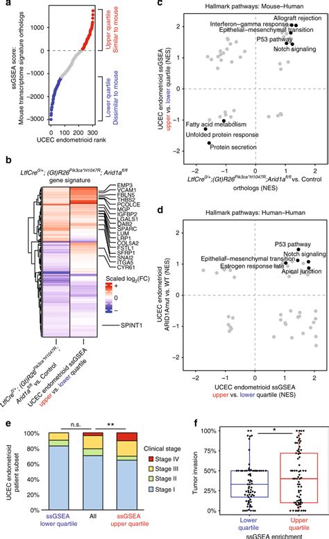 Ltfcre Gt R Pik Ca H R Arid Afl Fl Gene Signature Correlates